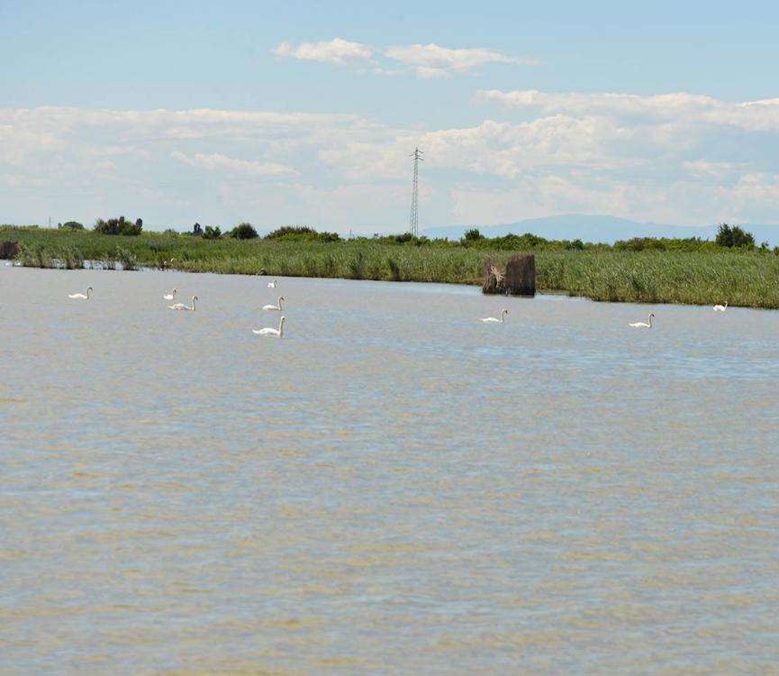 campinglagunavillage en laguna 003